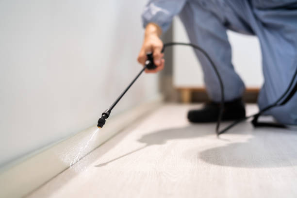 Certified termite inspector examining foundation in Greenwood